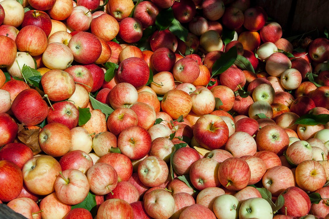 В Подмосковье стартовала ежегодная экологическая акция «Тут едут яблоки! Прямо на переработку!», в рамках которой садоводы и дачники региона могут отправить избытки урожая яблок на переработку.