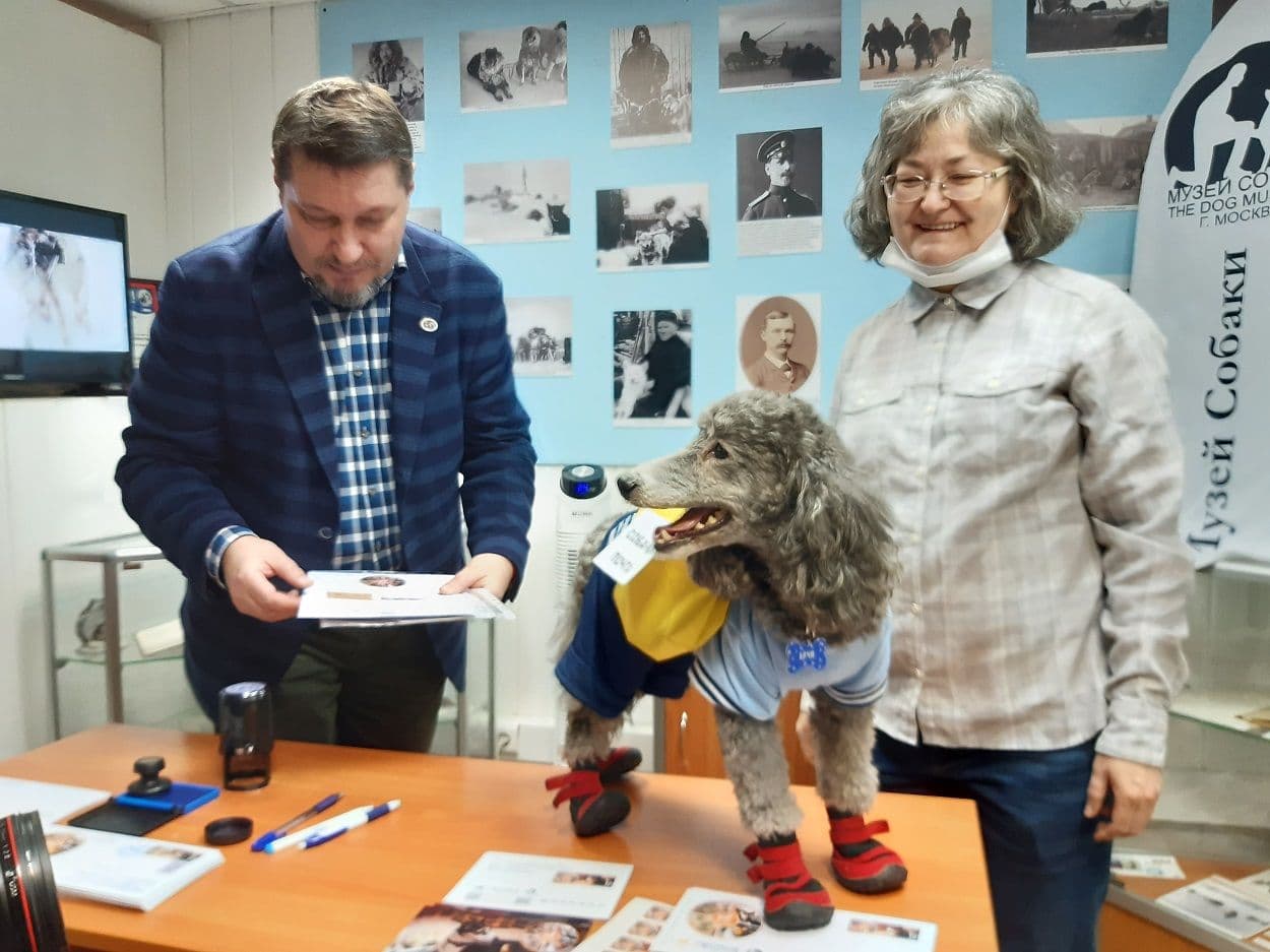 В Москве в Музее собаки состоялось открытие первого в России пункта Собачей почты. 